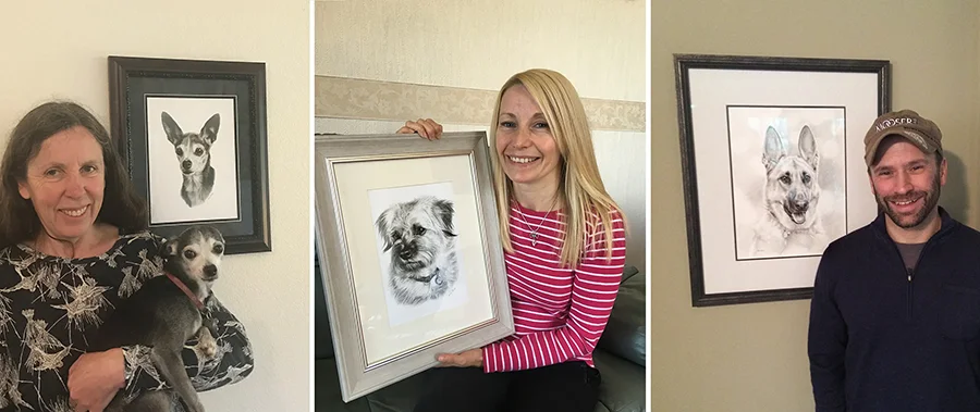 Pencil Pet Portrait Contact Pencil Pet Portraits