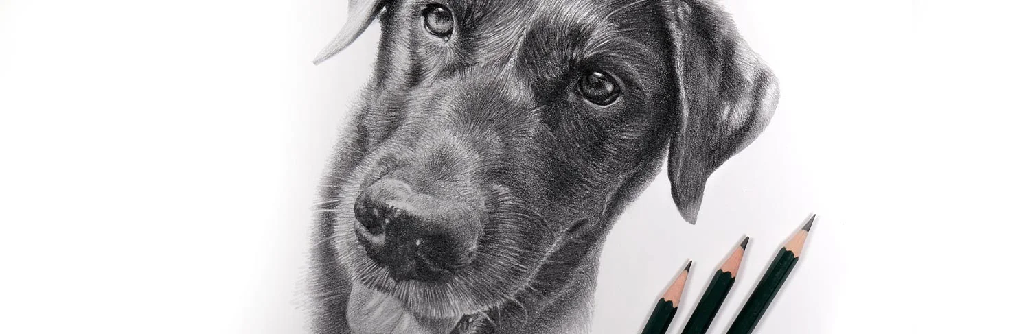Taking Photos for Pet Portrait Commissions Woman photographing a dog for a pet portrait commission.