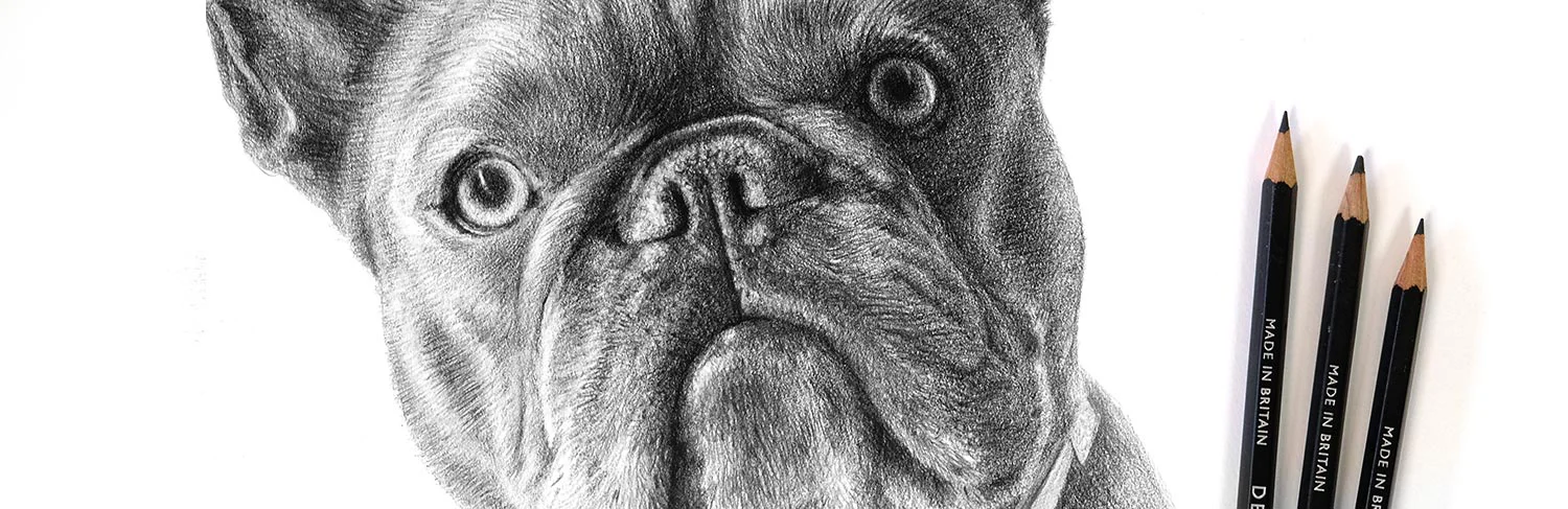 Placing a Deposit for Pet Portrait Laptop displaying an online payment page for a pet portrait commission.