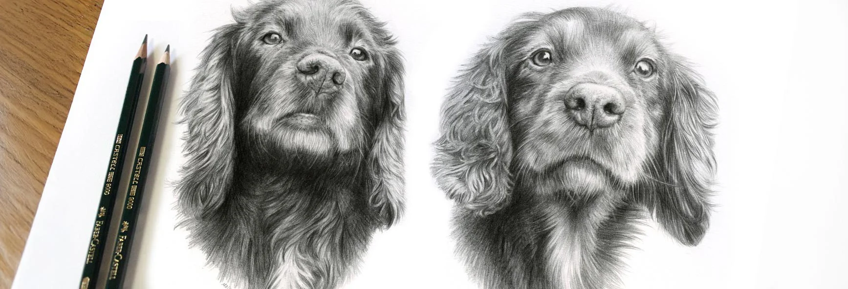 Combined Pet Portraits in Pencil by Melanie Phillips Close-up of a combined pencil portrait of multiple pets, showcasing detail and composition by Melanie Phillips.