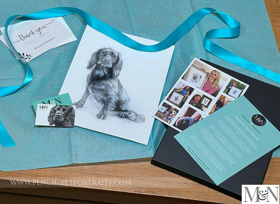 Pencil Portrait Packaging Example 1 A carefully packaged pencil pet portrait in a presentation box with ribbon.
