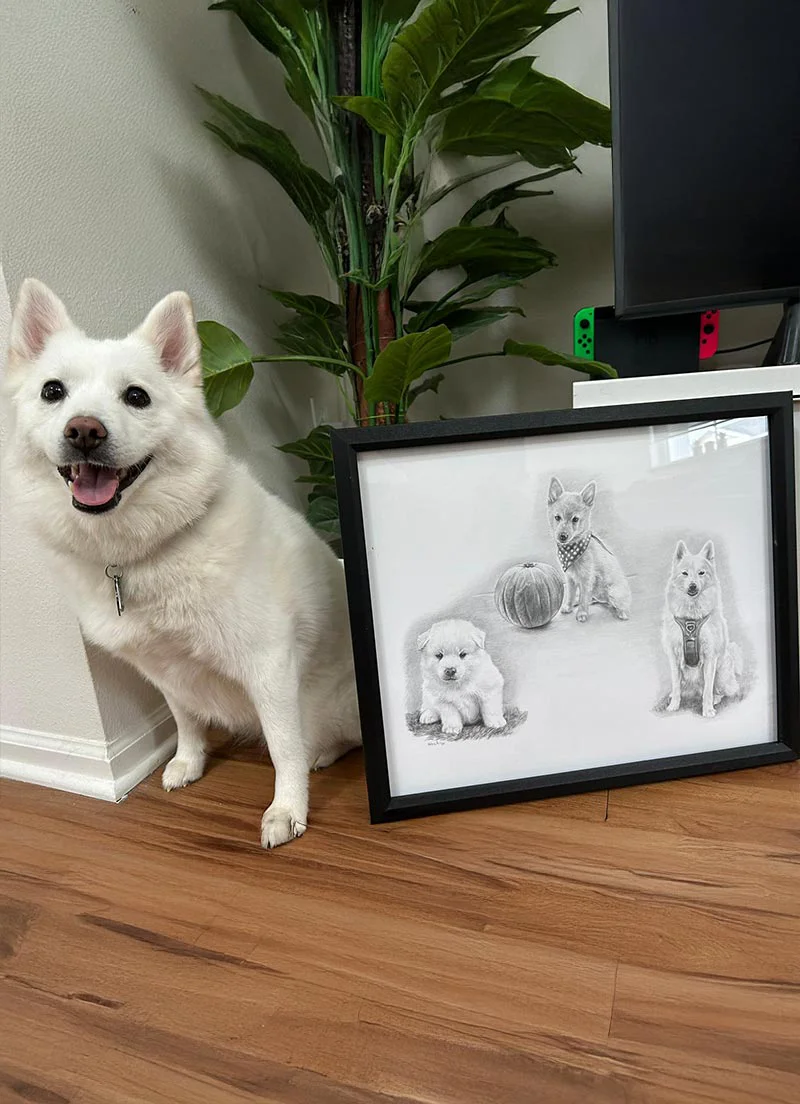 Classic Life Story Portrait Pencil Portraits of Dogs, Cats & Horses A classic Life Story Portrait of dog, cat, and horse portraits by Melanie Phillips, illustrating various poses and details.
