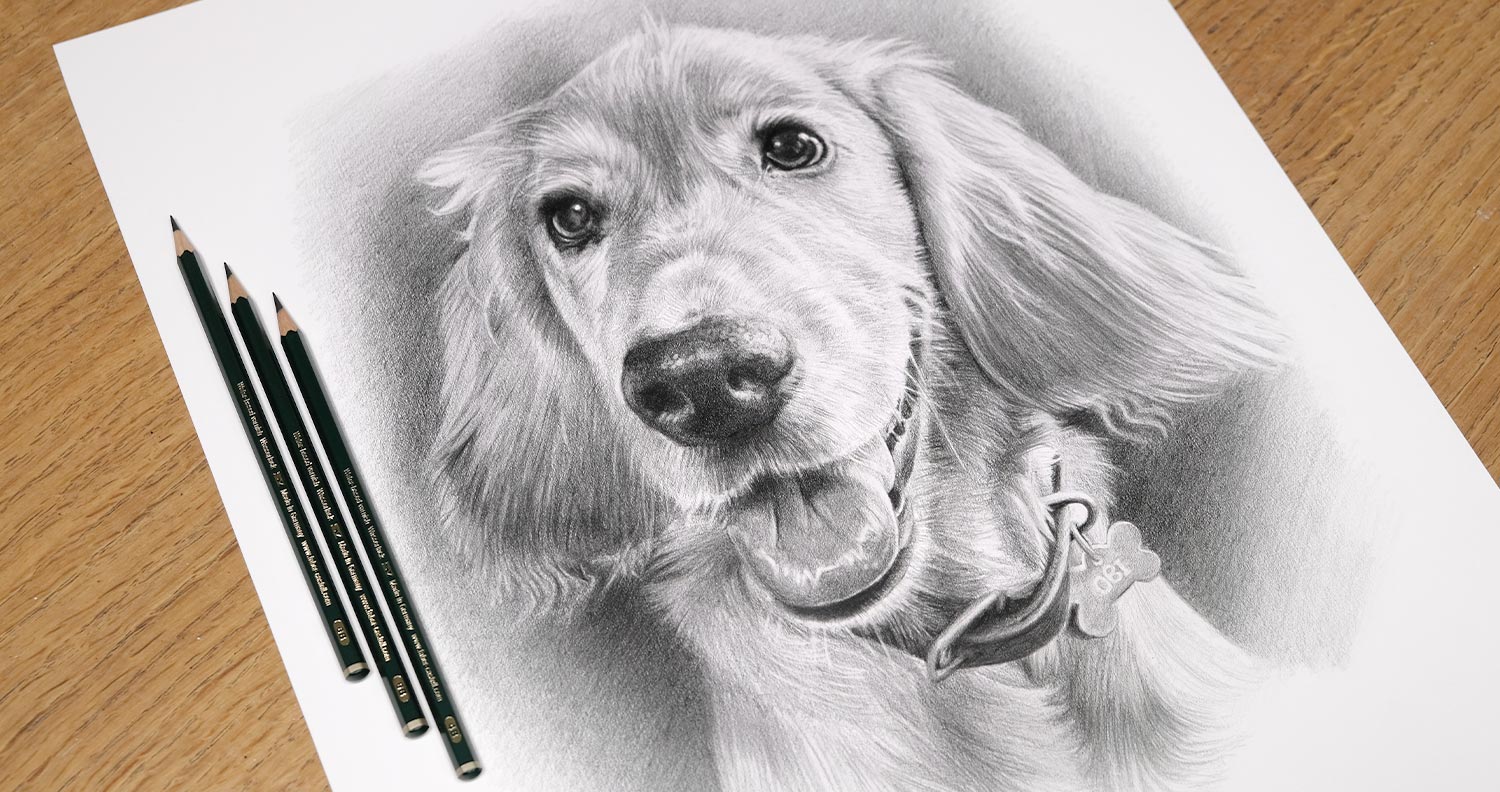 Pencil Pet Portraits