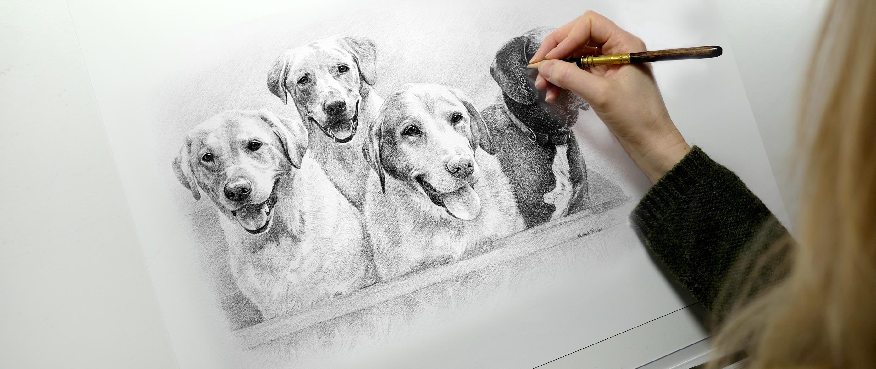 Pet Portraits FAQ