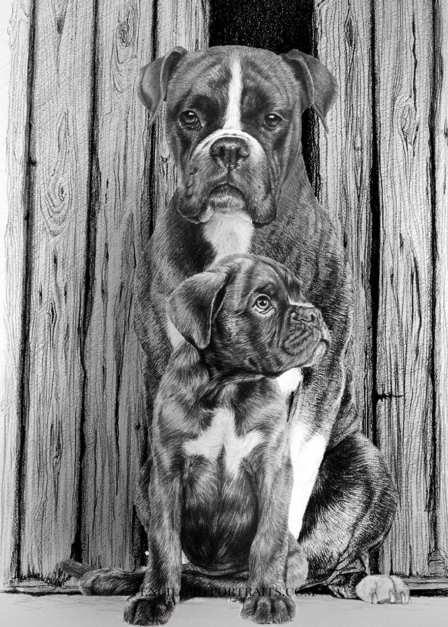 Digital mock-up of the Boxer adult, puppy, and barn door illustrations combined into a pet food logo