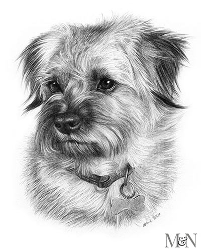 Hand Drawn Pet Portrait Pencil Pet Portrait Gift for Him - Etsy UK | Custom  pet art, Dog portrait drawing, Pet portrait gifts