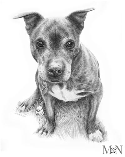 Custom Pet Portrait Hand Drawn Pet Portrait Pet Drawing  Etsy  Animal  drawings Dog sketch Dog paintings