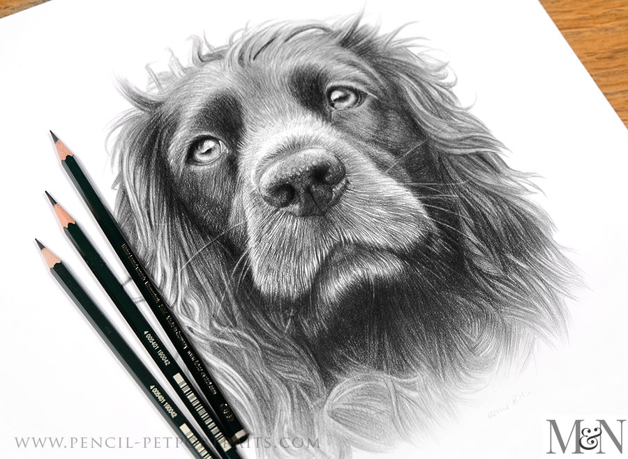 Pet Portrait Drawing Techniques: How to Draw Dogs