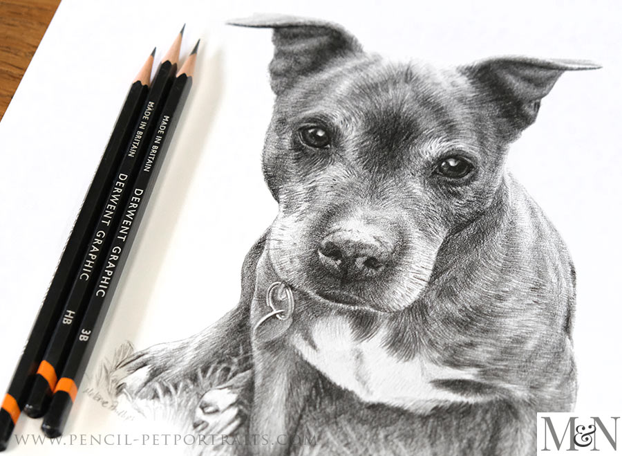 Highly Detailed Hyper Realistic Pencil Sketch of a German Shepherd ·  Creative Fabrica