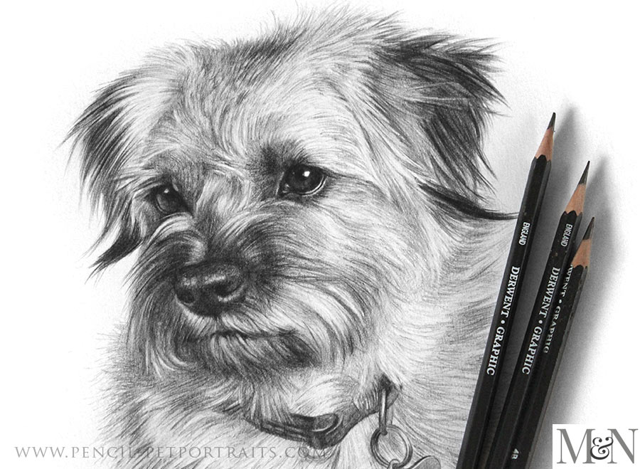 Pencil drawing of a puppy - YouTube