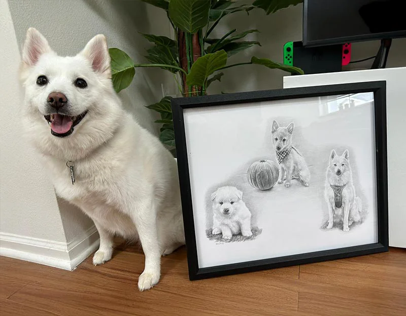 Client Josh's Testimonial Client Josh's testimonial for his pet portrait
