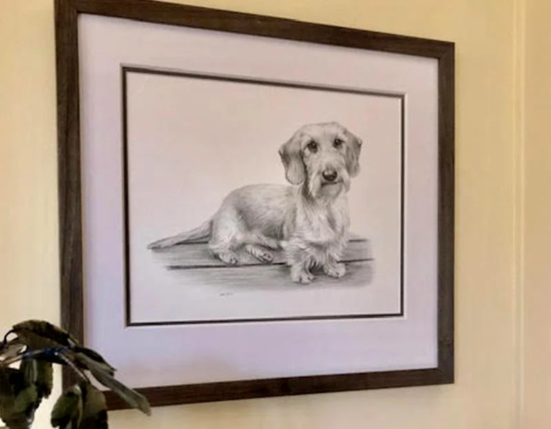 Client Stephany's Testimonial for Belle's Portrait Client Stephany's testimonial for Belle's pencil portrait