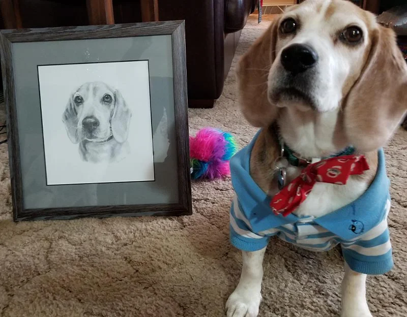 Client Ben's Testimonial for Blue's Portrait Client Ben's testimonial for the Blue pet portrait
