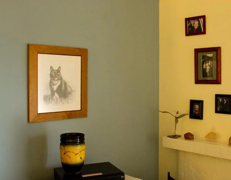 Client Nick's Testimonial for Baxter Client Nick's testimonial for Baxter’s cat portrait