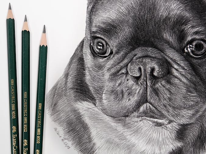 Pencil Pet Portrait 6