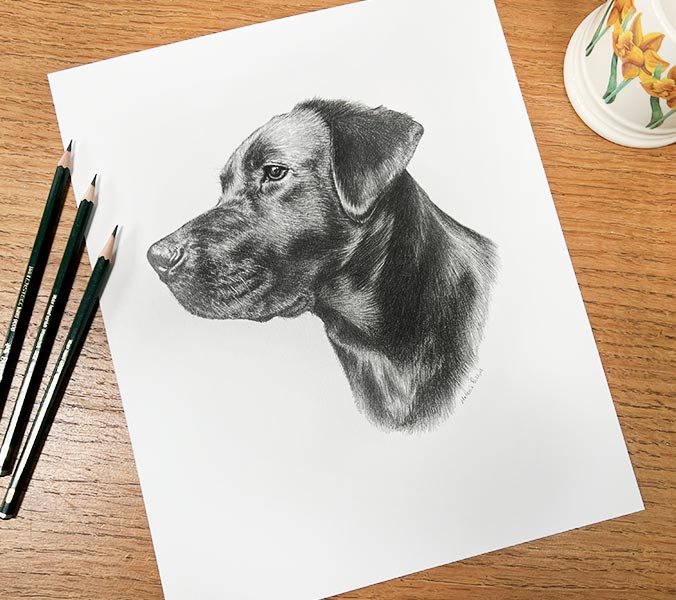 Pencil Portrait of Betty 4