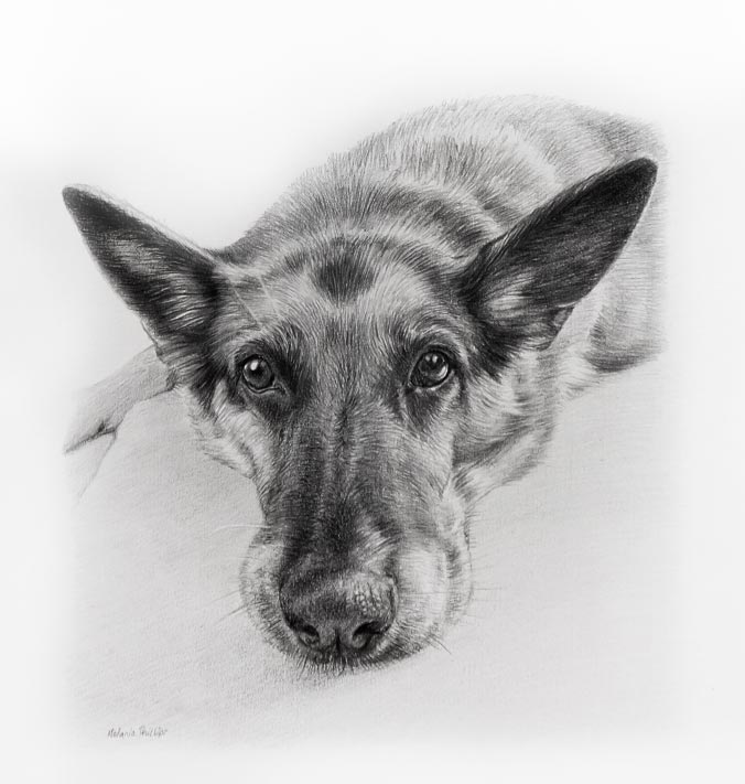 Pencil Portrait of Kegan 1