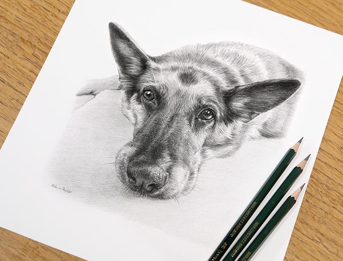 Pencil Portrait of Kegan 2