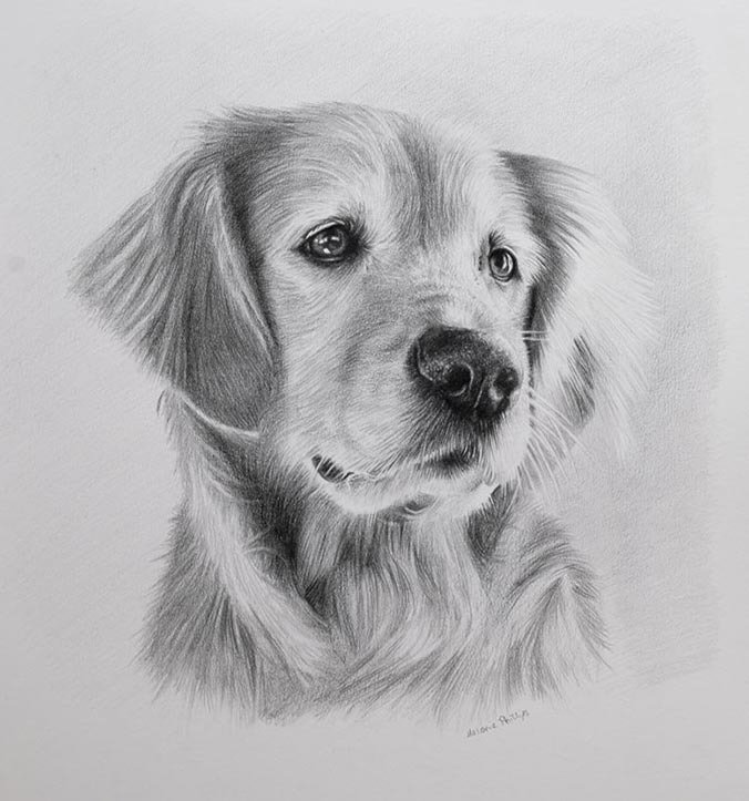 Pencil Portrait of Sam 2